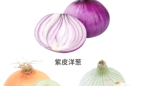 榛子有什么营养价值和功效与作用网 | 榛子有什么营养价值和功效与作用及禁忌,榛子的营养价值及功效与作用禁忌