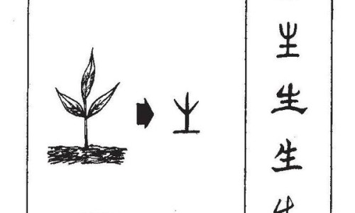 榛子有什么营养价值和功效与作用及禁忌-榛子有什么营养价值和功效与作用网 | 榛子有什么营养价值和功效与作用及禁忌,榛子的营养价值及功效与作用禁忌